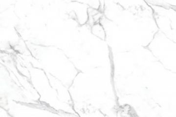 SP 289