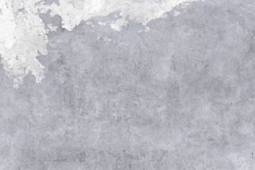 SP 296
